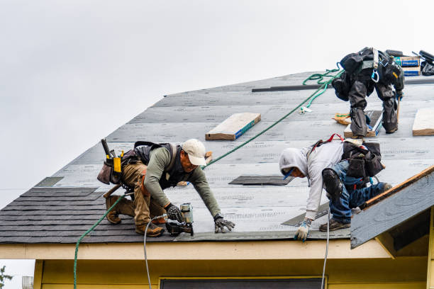 Professional Emergency Roof Repair technician working in Litchville, ND